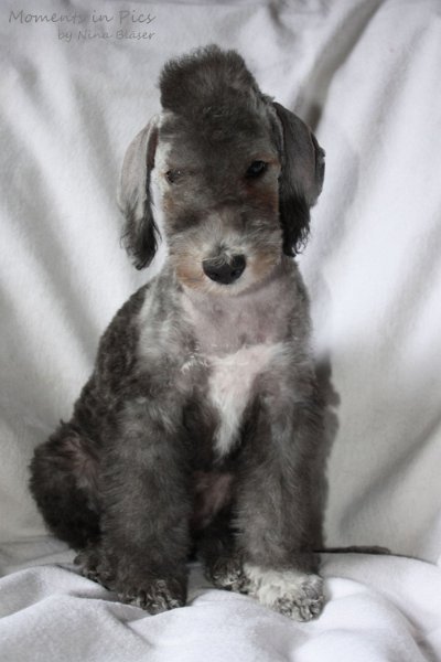 Antares 2009-08-01 & 02 (21).JPG